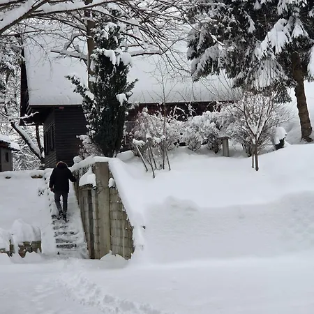 Haus Im Wald Gorica pri Slivnici