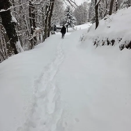 Dom wakacyjny Haus Im Wald