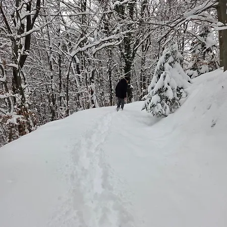 Dom wakacyjny Haus Im Wald *